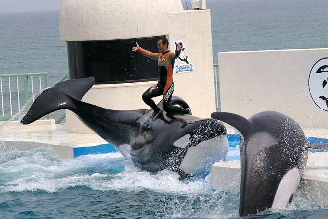 ����V�[���[���h