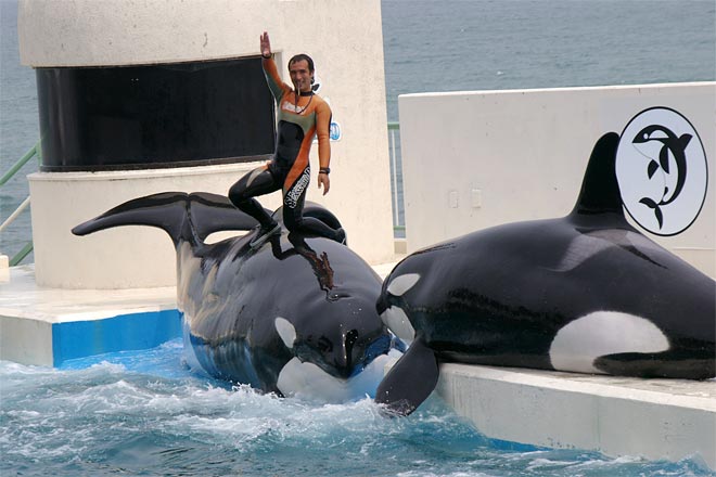 ����V�[���[���h