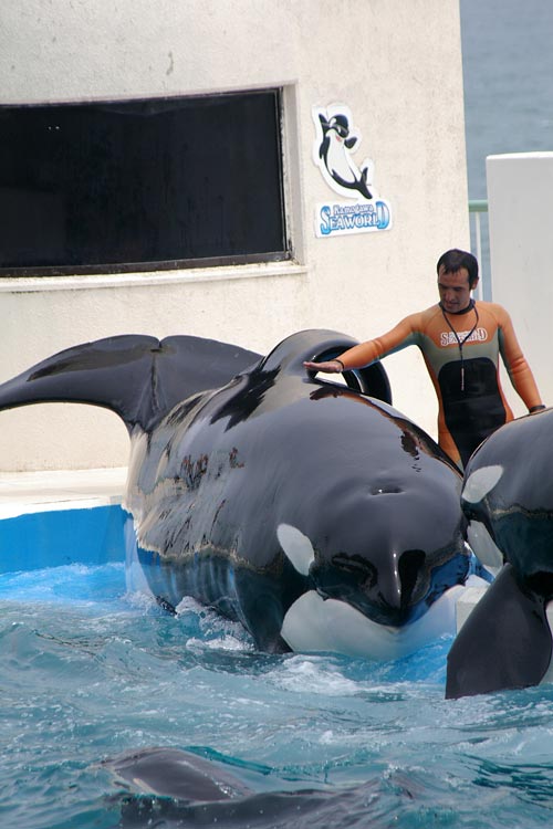 ����V�[���[���h