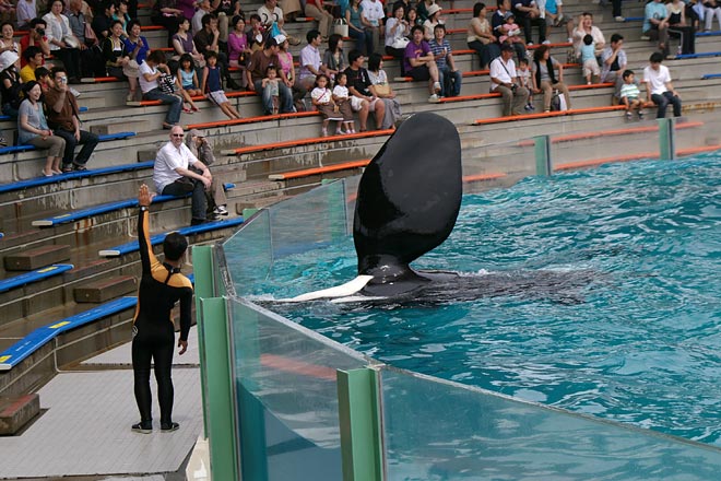 ����V�[���[���h