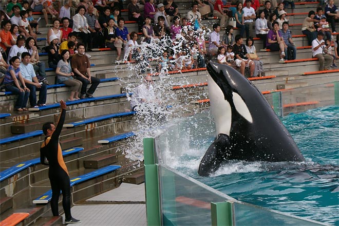 ����V�[���[���h