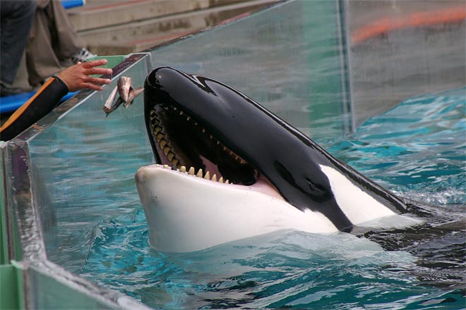 ����V�[���[���h