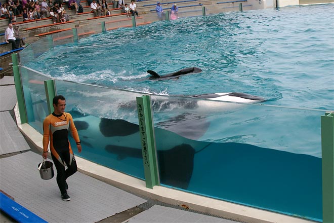 ����V�[���[���h