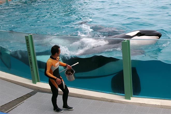 ����V�[���[���h