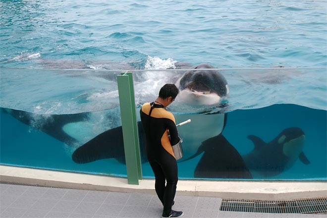 ����V�[���[���h