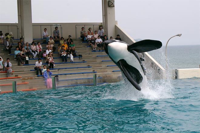 ����V�[���[���h