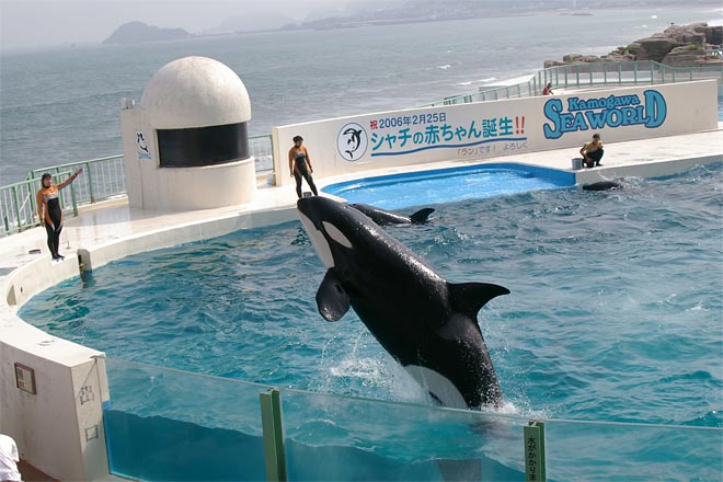 ����V�[���[���h