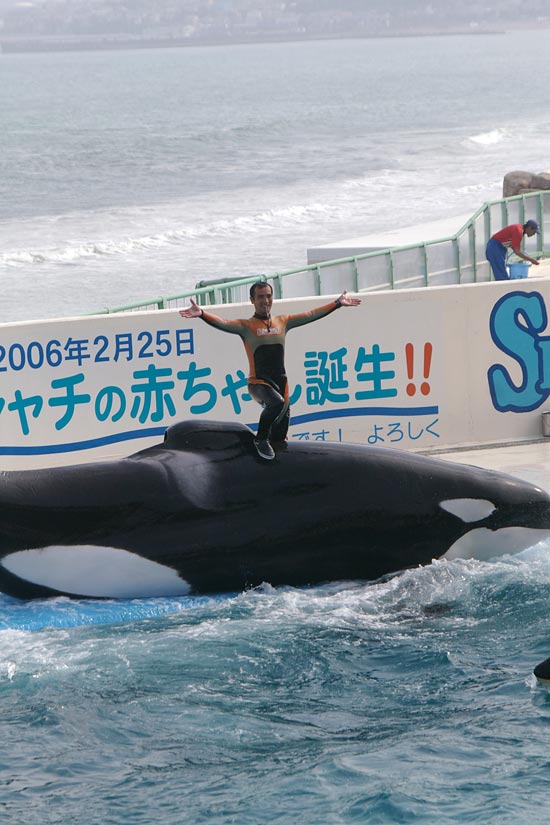 ����V�[���[���h