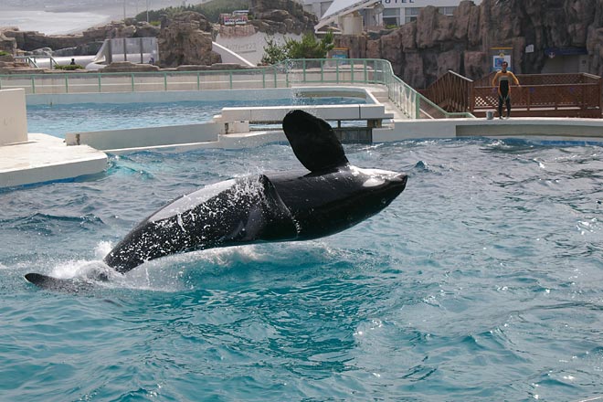 ����V�[���[���h