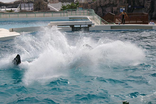 ����V�[���[���h