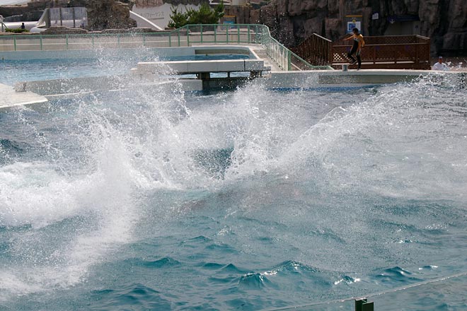 ����V�[���[���h