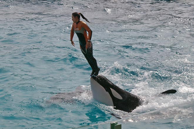 ����V�[���[���h