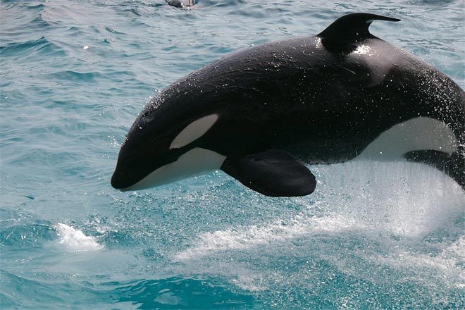 ����V�[���[���h