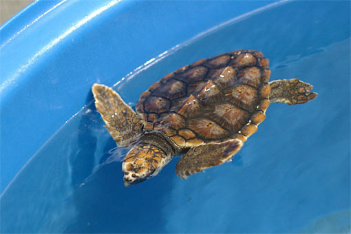 ����V�[���[���h