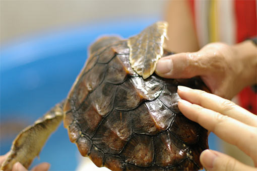 ����V�[���[���h