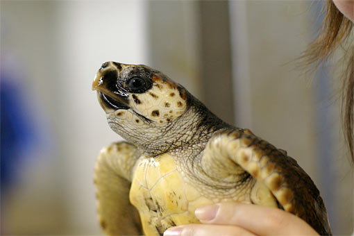 ����V�[���[���h