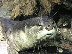 �j�z���J���E�\