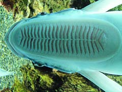 �u���}���������h