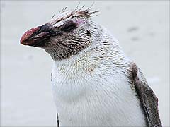 �y���M��