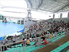 ���C���v�[��