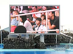 ���C���v�[��