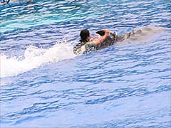 ���C���v�[��