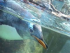 �y���M����