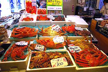 �t�B�b�V���[�}���Y���[�t