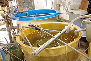 �̂Ƃ��ܐ�����