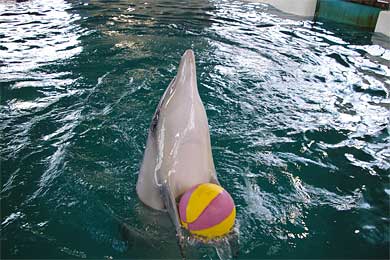 �̂Ƃ��ܐ�����