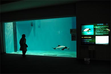 のとじま水族館