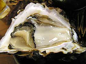 �h�g���荇�킹