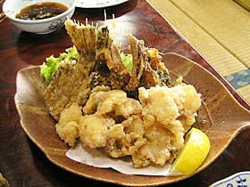 �ڂ����̂Q�x����