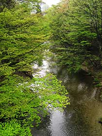 �j�b�J�E���X�L�[