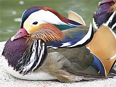 �������̃J�b�g����