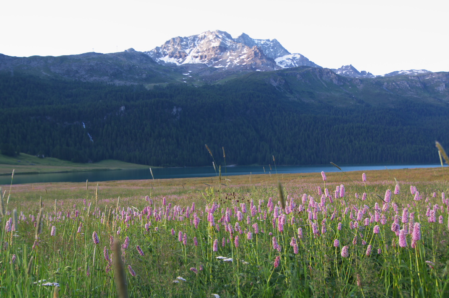 IMGP9341.jpg(334532 byte)