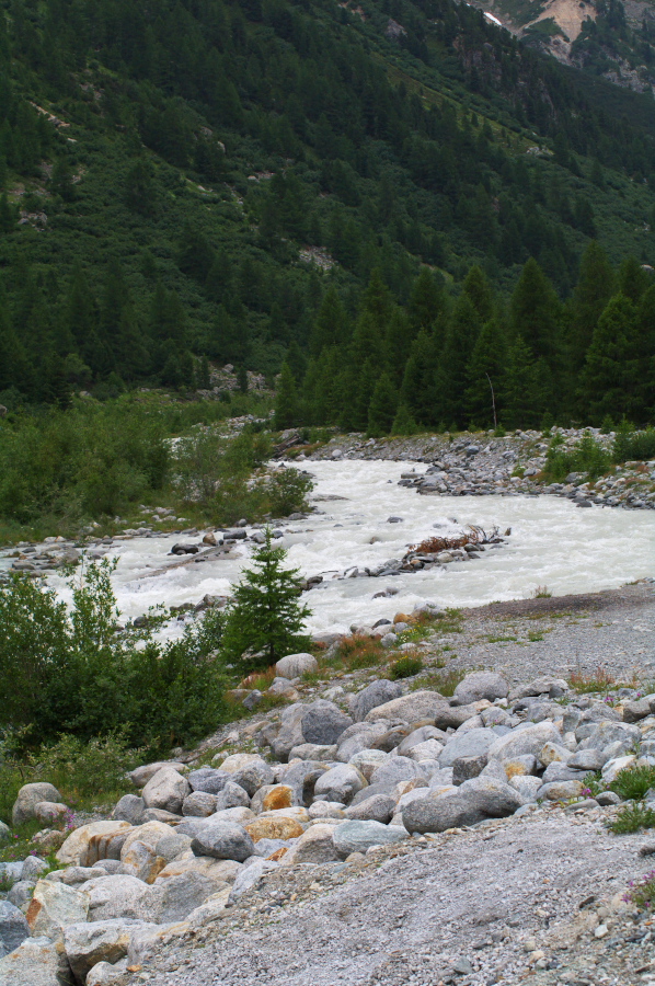 IMGP9747.jpg(435250 byte)