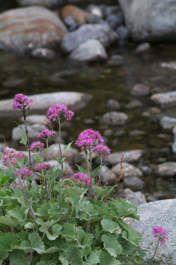 IMGP9756.jpg(290249 byte)