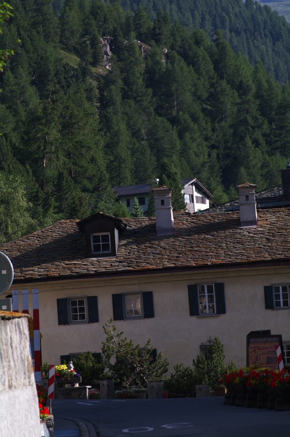 IMGP9881.jpg(334127 byte)