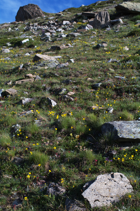 IMGP0848.jpg(580859 byte)