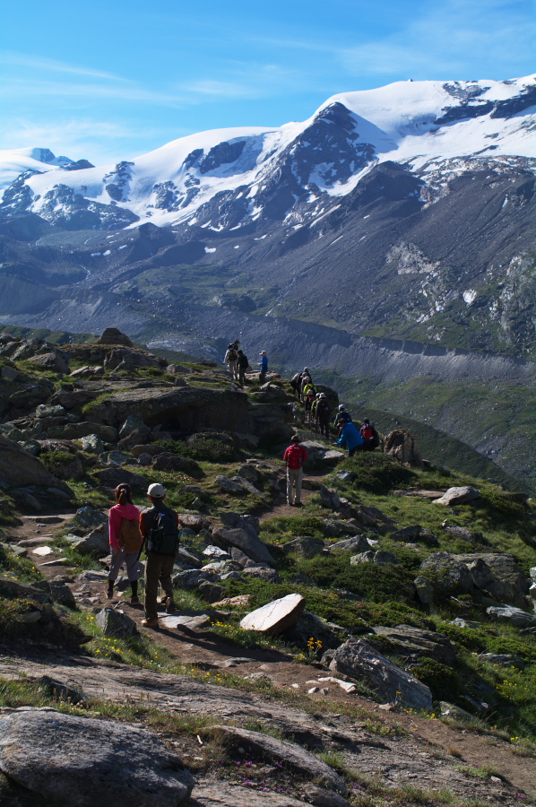 IMGP0850.jpg(420213 byte)