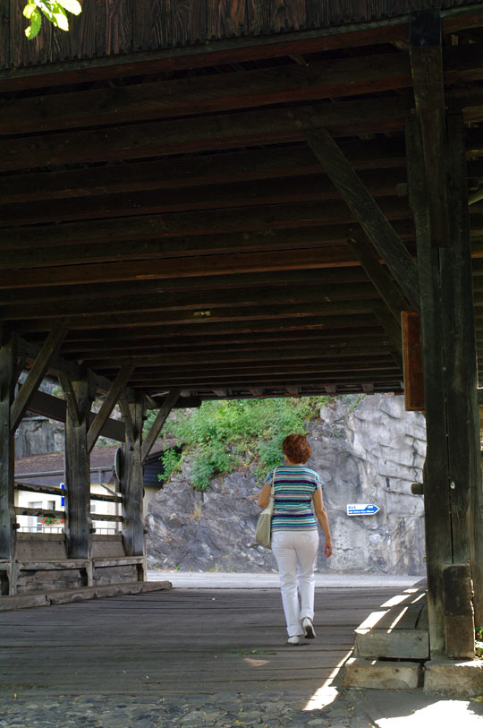 pic5.jpg(226886 byte)