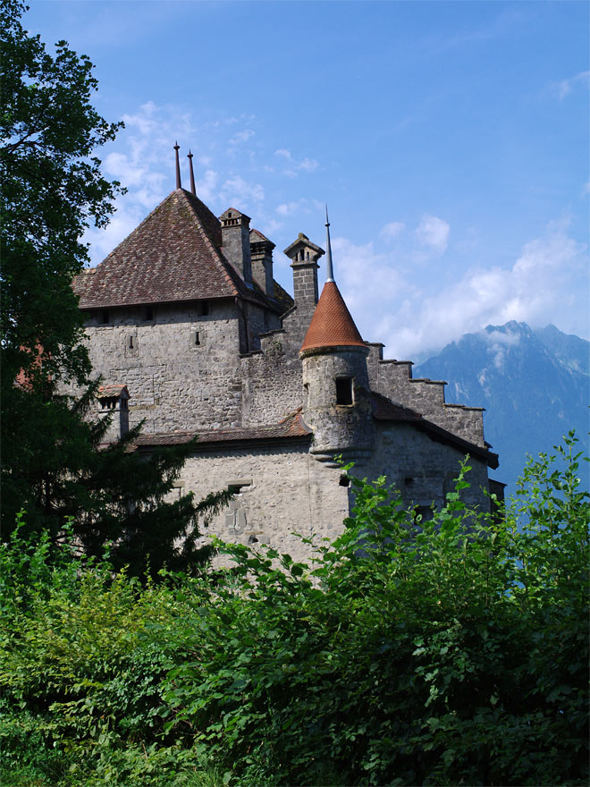 pic6.jpg(236762 byte)