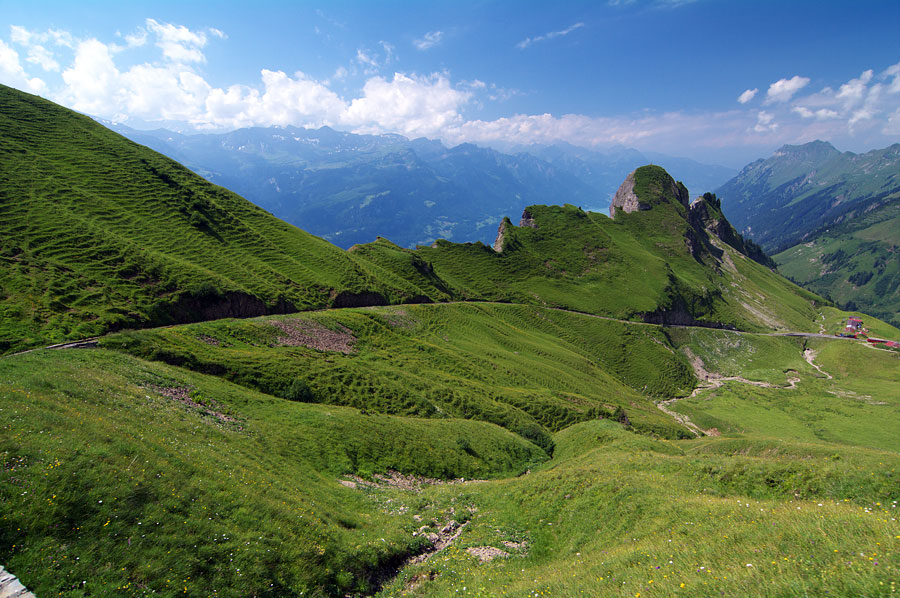 pic5.jpg(226886 byte)