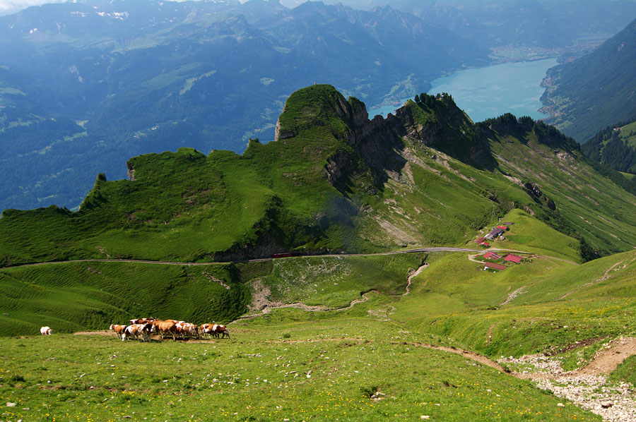 pic5.jpg(226886 byte)