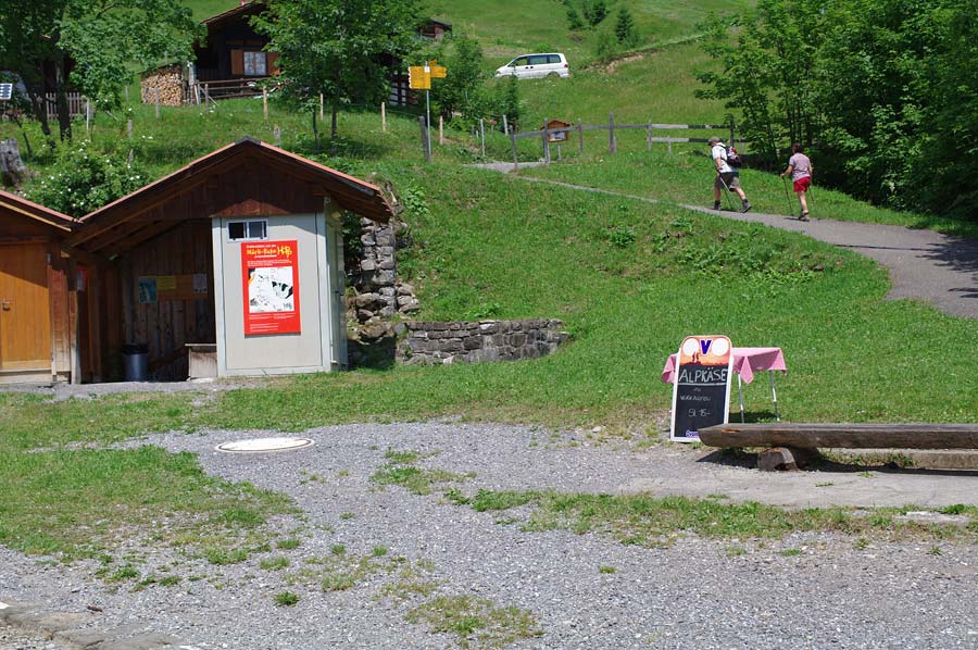 pic6.jpg(236762 byte)