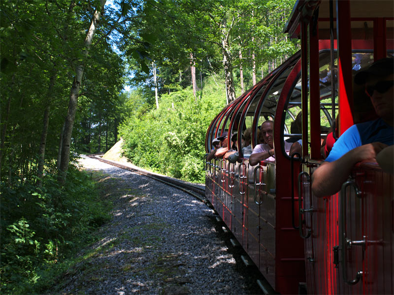 pic6.jpg(236762 byte)