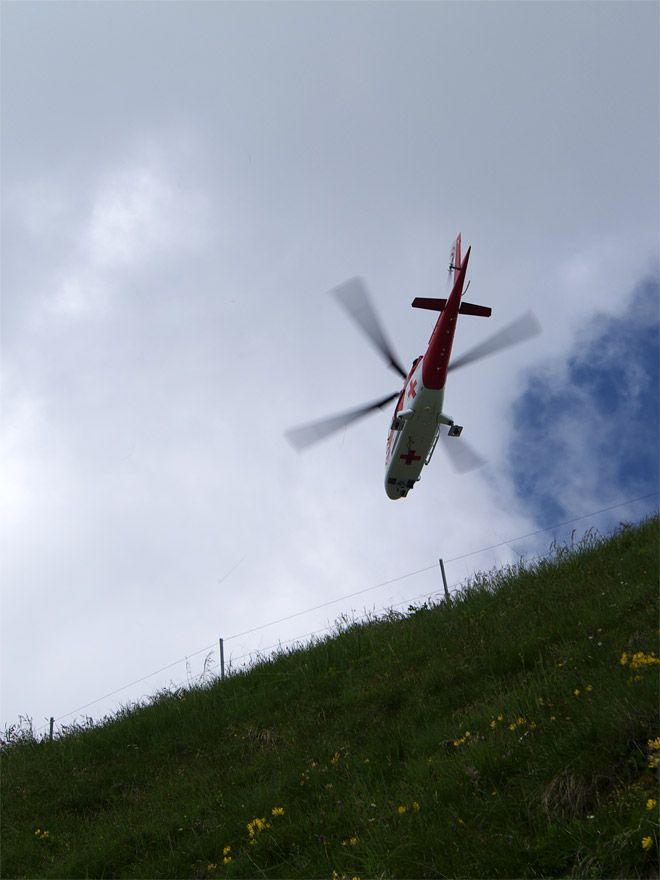 pic8.jpg(267087 byte)