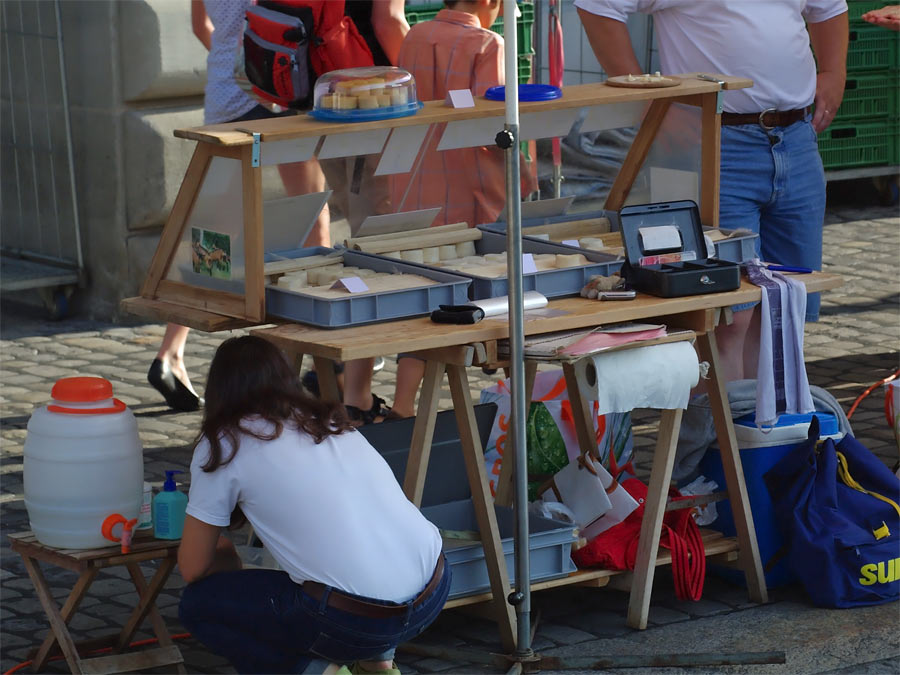 pic6.jpg(236762 byte)