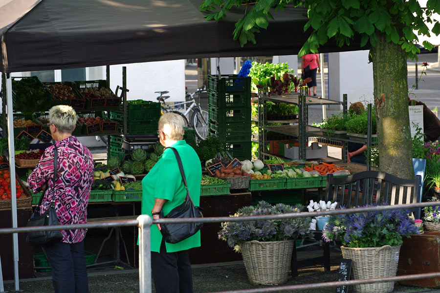 pic8.jpg(267087 byte)